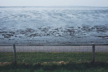 Vue sur la mer des Wadden à Peazens