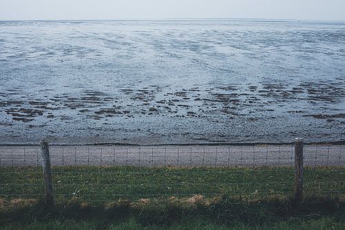 Uitzicht over de Waddenzee in Peazens