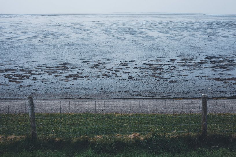 Blick über das Wattenmeer in Peazens von Denise Tiggelman