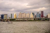 De Skyline van Rotterdam  par Freddie de Roeck Aperçu
