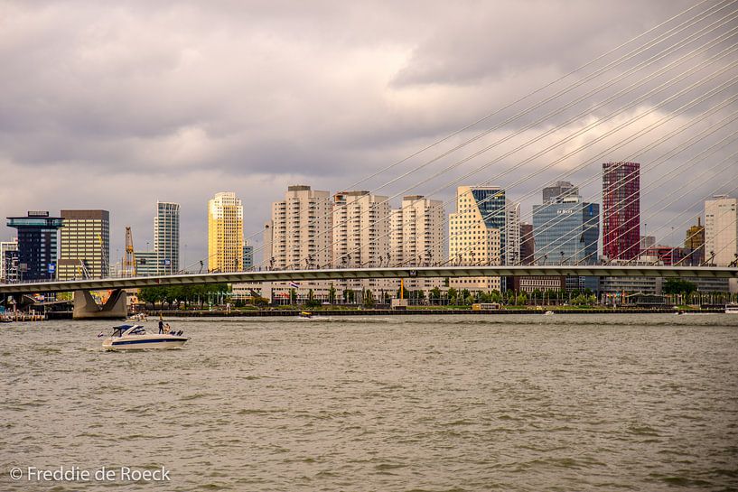 De Skyline van Rotterdam  von Freddie de Roeck