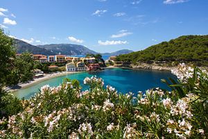 Assos à Céphalonie Grèce