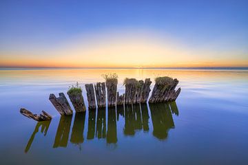 Noch stehen geblieben - Sonnenuntergang IJsselmeer von Bas Meelker