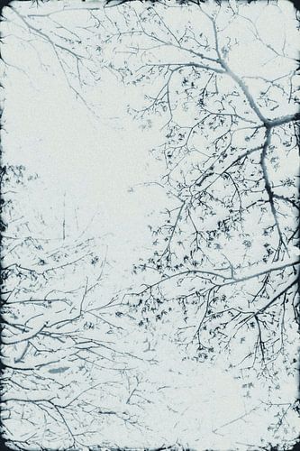 Vorstlijnen van Jasmijn van dort