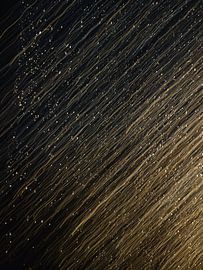 Meteorschauer (Sternschnuppen) von Irina Protchenko