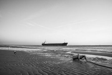 Cargo Flushing en noir et blanc avec bouée à la ligne de marée