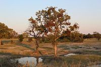 Paysage Afrique du Sud
