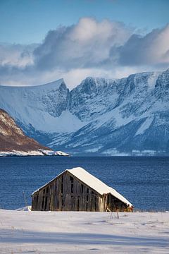 Winter landschap met vissers hut op Godøy, Ålesund, Noorwegen van qtx