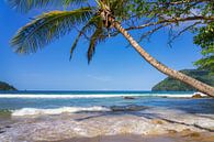 Maracas Beach van Bart Hendrix thumbnail