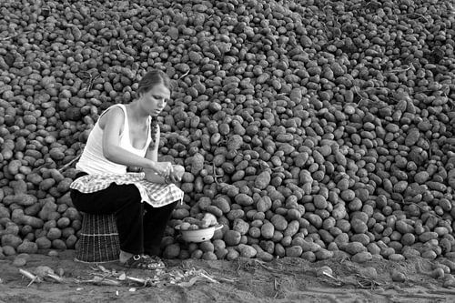 Encore 3 846 289 unités