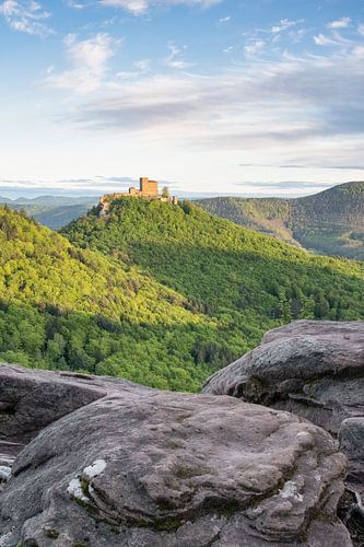 Blick zur Burg Trifels im Pfälzerwald