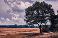De uitnodiging voor de wandeling