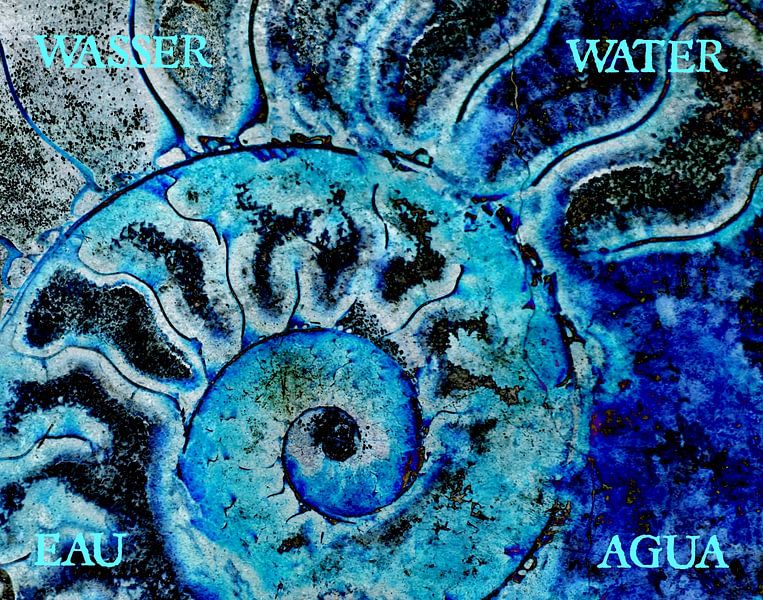 Versteende ammoniet als element water gemengde techniek van Werner Lehmann