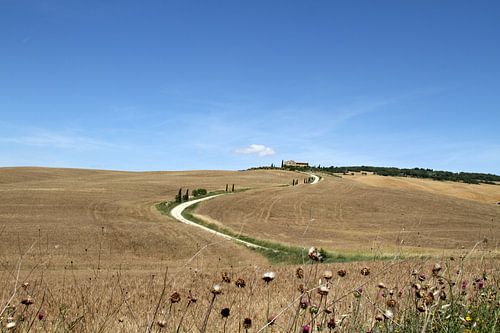 Toscaans landschap