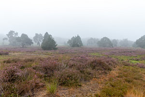 Landschaftsaufnahme