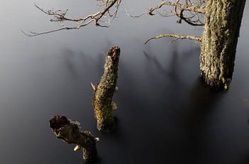 Stille vor dem Sturm auf dem See