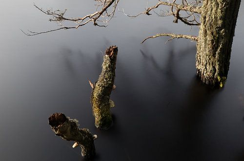 Stille vor dem Sturm auf dem See