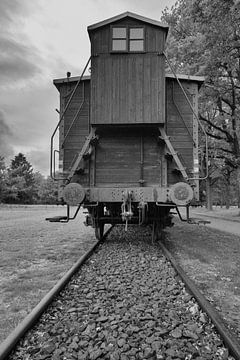 Kamp Westerbork van Peter Bartelings