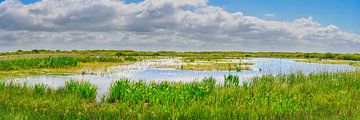 Panorama of Het Zwanenwater in summer