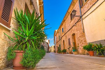Straat met potplanten in de oude stad van Alcudia, Mallorca, Spanje van Alex Winter