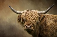 Scottish Highland Cow Portret by Diana van Tankeren thumbnail