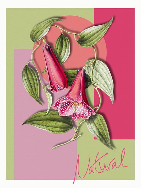Natural by Marja van den Hurk