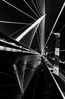 De Harp, Calatrava bridge in Nieuw Vennep in Black and White