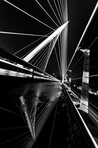 De Harp, Calatrava brug in Nieuw Vennep in Zwart-Wit