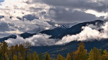 Automne dans la Robson Valley sur Timon Schneider