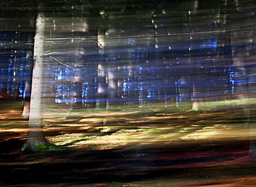 See the wind blowing through the trees by Jacqueline Lemmens