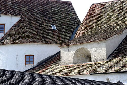 Wildenstein Castle, Danube