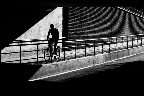 The cyclist