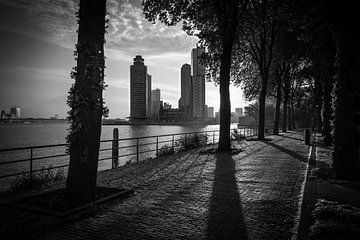 Sonnenaufgang in Rotterdam von Peter Hooijmeijer