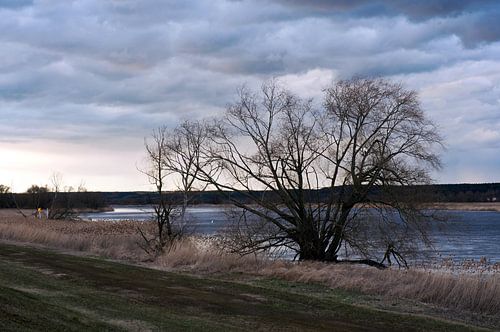 Mysterious mood lighting on the wintry banks of the Oder dyke
