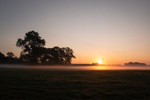Zonsopkomst met mist over weiland