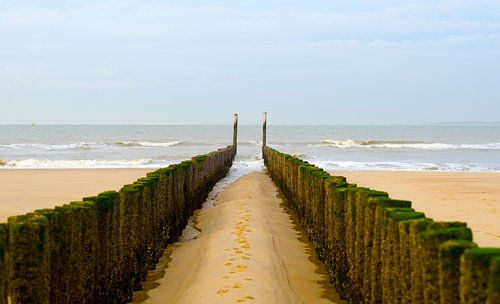 Zeeland von Vincent Vagevuur