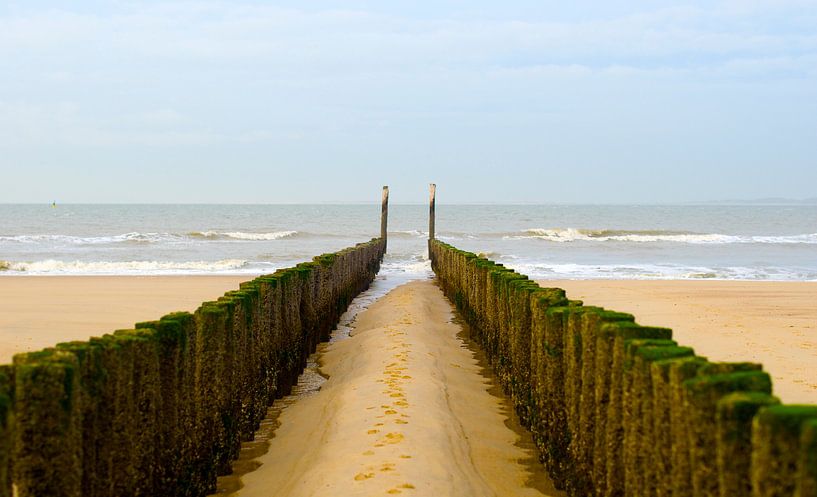 Zeeland by Vincent Vagevuur