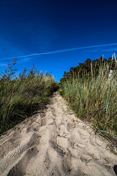 Weg durch die Dünen zur Nordsee von Thomas Riess