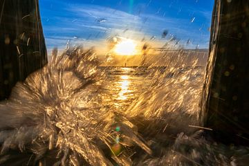 Splash! by Your Happy Life