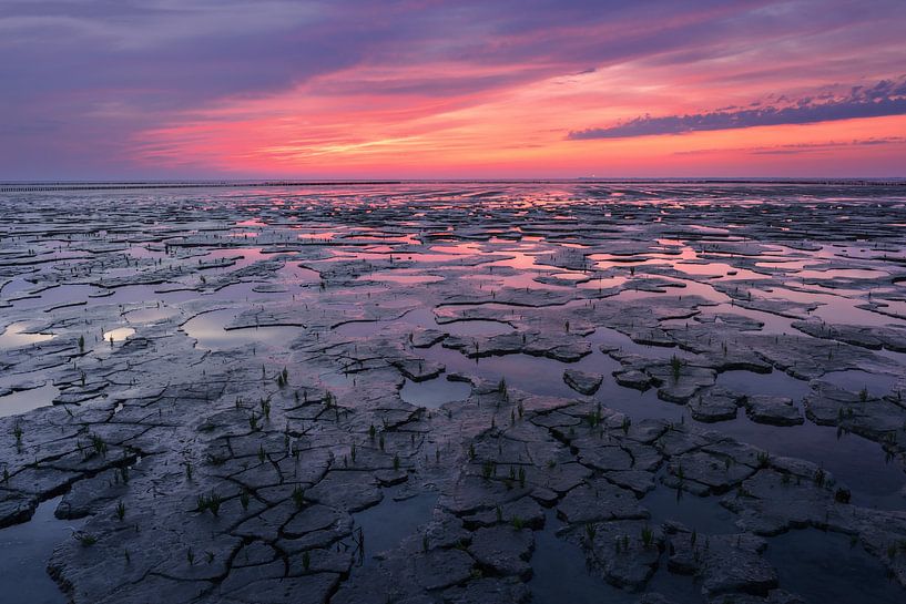 A summer evening on the mud flats near Uithuizen Groningen by Marga Vroom