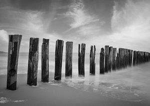 Wellenbrecher an der Küste von Zeeland Zoutelande in schwarz und weiß