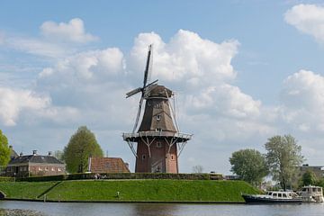 Dokkum in Friesland, de molen Zeldenrust van Patrick Verhoef