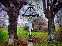 Weinviertel 04