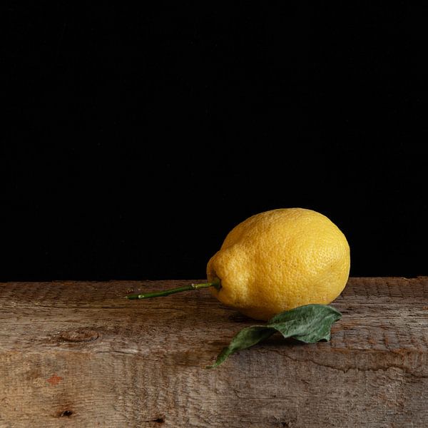 Lemon by Frederike Fennema Stillevens