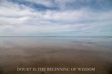 doubt is the beginning of wisdom van Hans de Waay