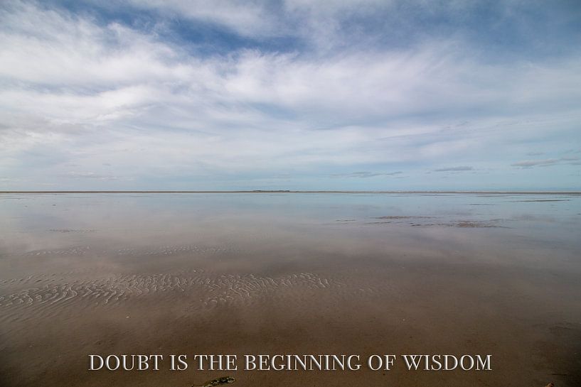 le doute est le début de la sagesse par Hans de Waay