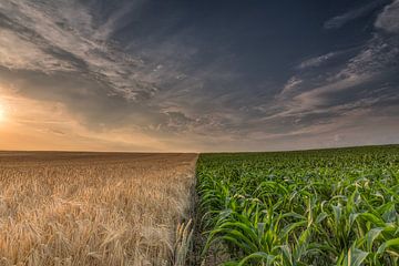 Fall evening in the Dyle valley by Mario Severi