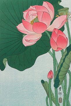 Lotus, Ohara Koson