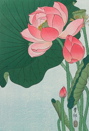 Lotus, Ohara Koson
