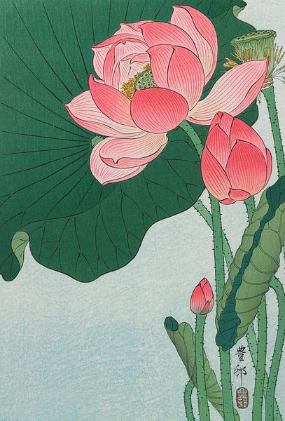 Lotus, Ohara Koson by Masterful Masters